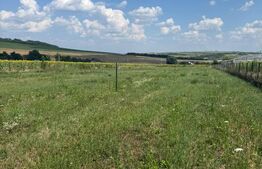 Teren intravilan, 800mp , Zona Zăicești- Botoșani 