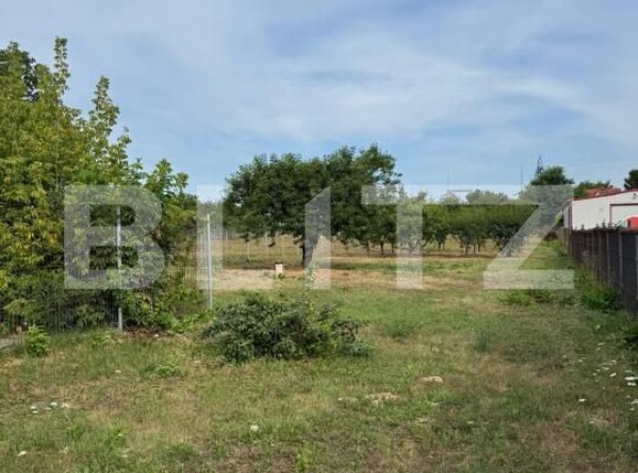 Casa de vânzare 6 camere Hudum - 201493CV | BLITZ Botoșani | Poza6