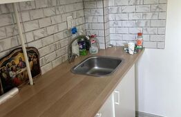 Garsonieră 27 mp + balcon, renovată, zona Industrială