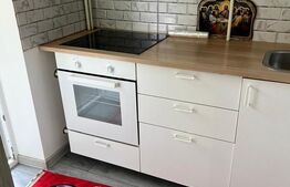 Garsonieră 27 mp + balcon, renovată, zona Industrială