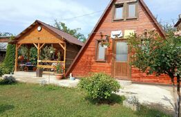 Casa individuala, 60 mp, teren 1326 mp, zona Bucecea
