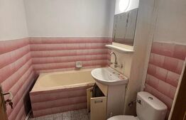 Apartament 2 camere, 46 mp, parter, zonă Centrală – închiriere pe termen lung