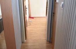 Apartament 3 camere, 42 mp, zona Olinescu