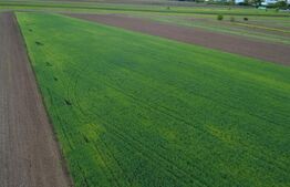 Teren agricol, 5.200 mp, Comuna Sendriceni
