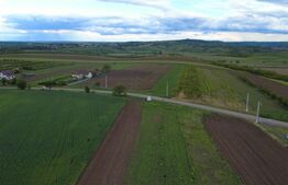 Teren agricol, 5.200 mp, Comuna Sendriceni