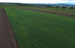 Teren agricol, 5.200 mp, Comuna Sendriceni
