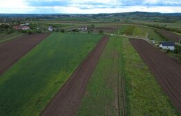 Teren agricol, 5.200 mp, Comuna Sendriceni