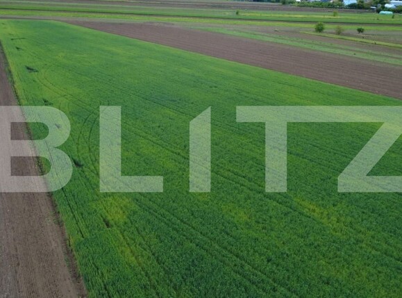 Teren de vânzare Sendriceni - 203005TV | BLITZ Botoșani | Poza2