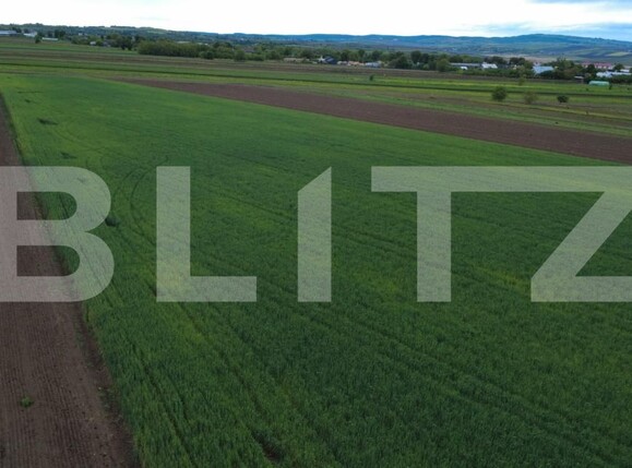 Teren de vânzare Sendriceni - 203005TV | BLITZ Botoșani | Poza4