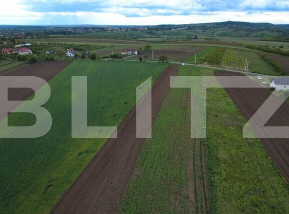 Teren de vânzare Sendriceni - 203005TV | BLITZ Botoșani | Poza1