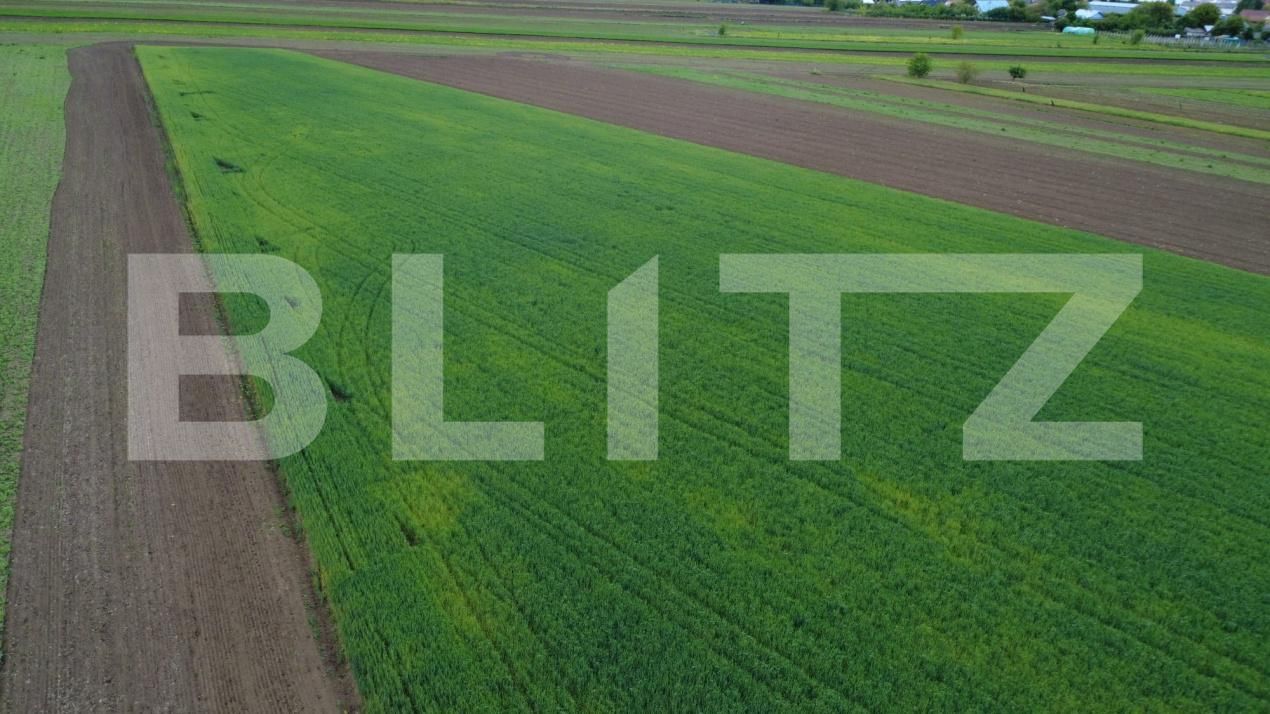 Teren de vânzare Sendriceni - 203005TV | BLITZ Botoșani | Poza2