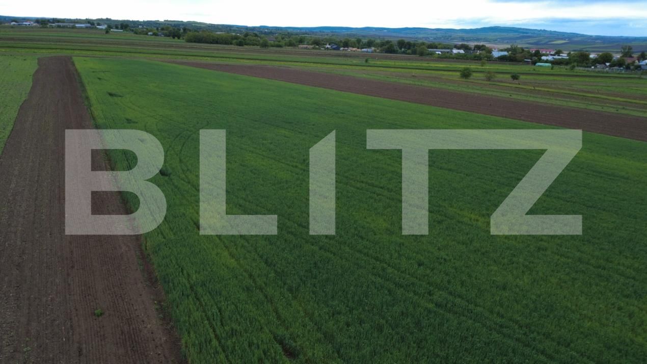 Teren de vânzare Sendriceni - 203005TV | BLITZ Botoșani | Poza7