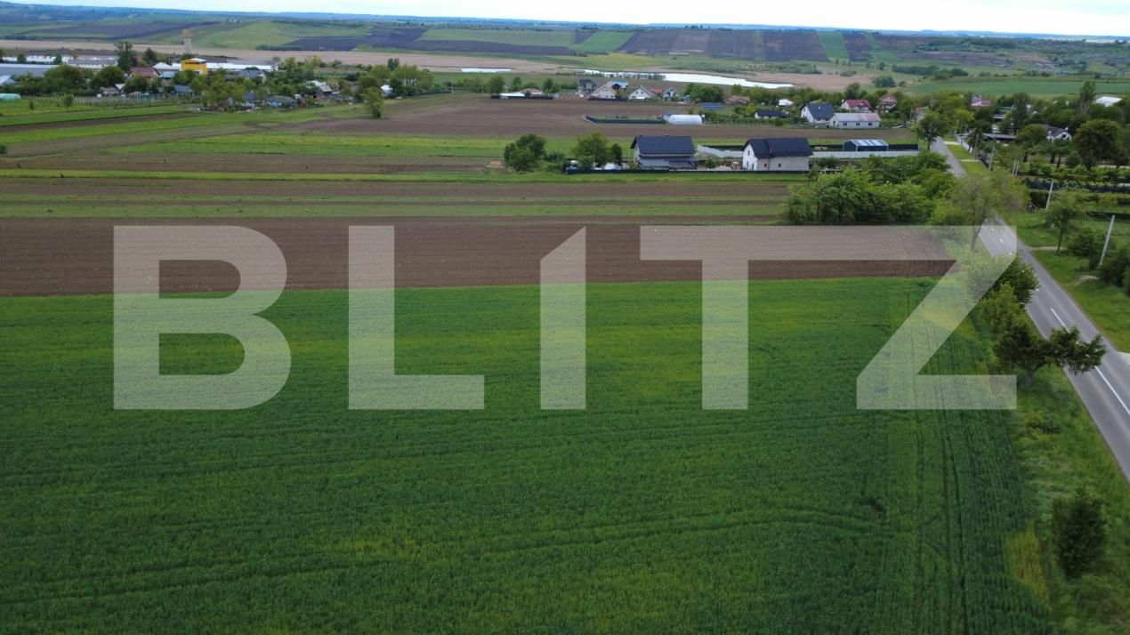 Teren de vânzare Sendriceni - 203005TV | BLITZ Botoșani | Poza6