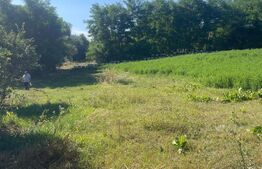 Teren intravilan de vanzare, 4.401 mp, zona Văculești 