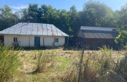 Teren intravilan de vanzare, 4.401 mp, zona Văculești 