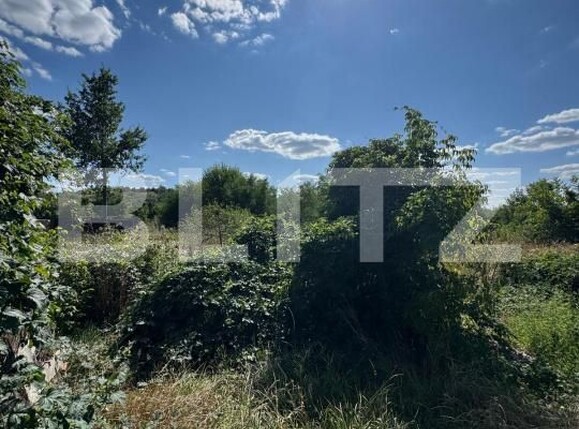 Casa de vânzare 3 camere Cosula - 203066CV | BLITZ Botoșani | Poza5