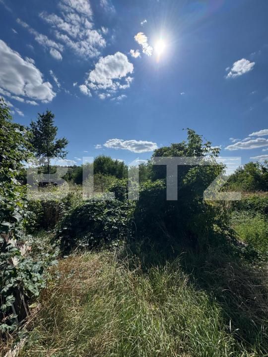 Casa de vânzare 3 camere Cosula - 203066CV | BLITZ Botoșani | Poza5