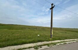 Teren de vânzare Catamaresti-Deal - 203767TV | BLITZ Botoșani | Poza2