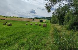 Teren extravilan, 2.2 hectare, zona Hilișeu-Horia