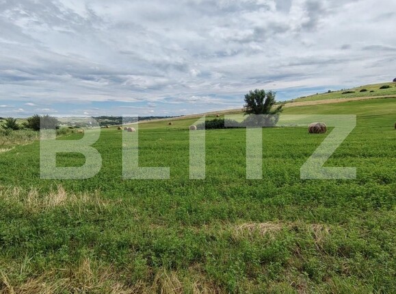 Teren de vânzare Hiliseu-Horia - 203566TV | BLITZ Botoșani | Poza1