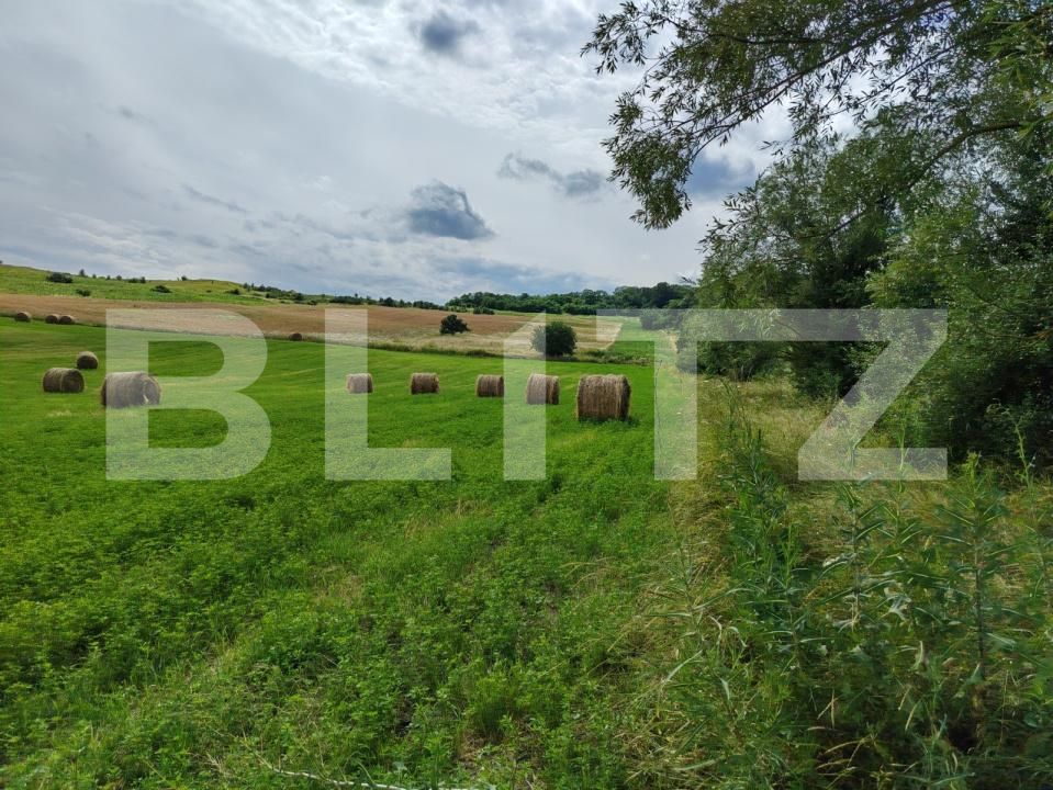 Teren de vânzare Hiliseu-Horia - 203566TV | BLITZ Botoșani | Poza2