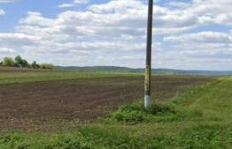 Teren extravilan de vanzare, 11400 mp, zona Hiliseu-Horia