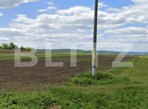 Teren de vânzare Hiliseu-Horia - 203604TV | BLITZ Botoșani | Poza1