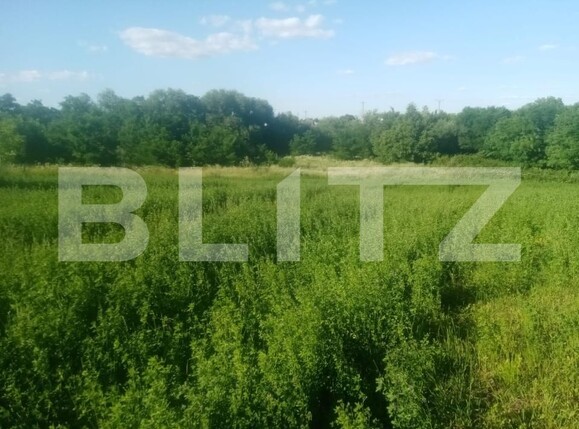Teren de vânzare Braesti - 203657TV | BLITZ Botoșani | Poza1
