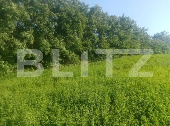 Teren de vânzare Braesti - 203657TV | BLITZ Botoșani | Poza3