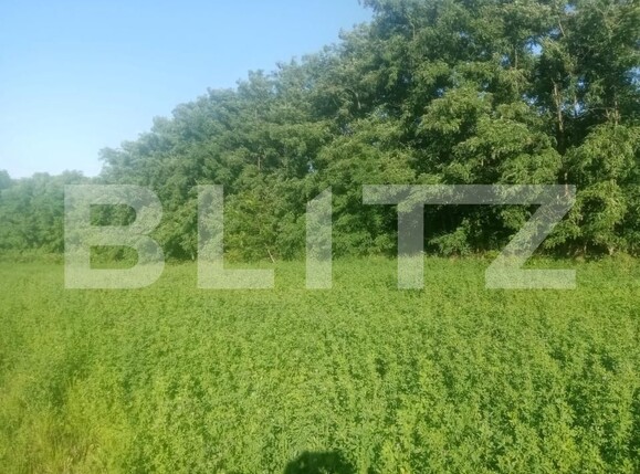 Teren de vânzare Braesti - 203657TV | BLITZ Botoșani | Poza2
