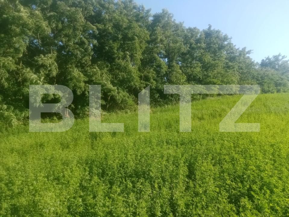 Teren de vânzare Braesti - 203657TV | BLITZ Botoșani | Poza3