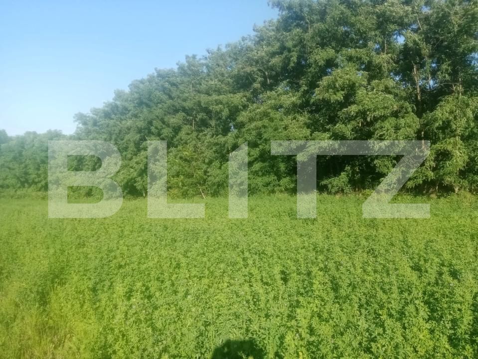 Teren de vânzare Braesti - 203657TV | BLITZ Botoșani | Poza2