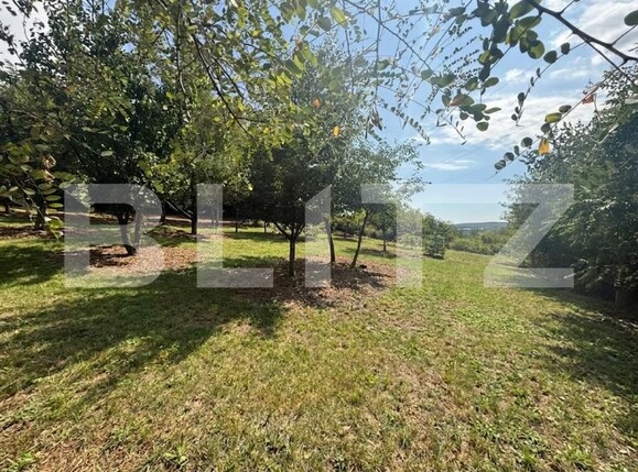 Teren de vânzare Catamaresti-Deal - 203767TV | BLITZ Botoșani | Poza1