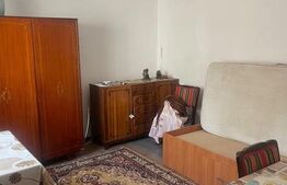 Casa P+1 de vaznare, 106 mp, teren 580 mp, zona Dorohoi