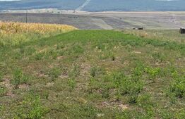Teren intravilan de vanzare, 5000 mp, zona Catamarasti-Deal