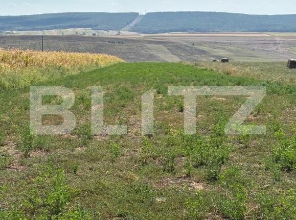 Teren de vânzare Catamaresti-Deal - 203866TV | BLITZ Botoșani | Poza1