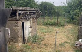 Casă bătrânească și teren de 2.209 mp în Braești,Jud Botosani