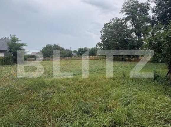 Teren de vânzare Catamaresti-Deal - 204084TV | BLITZ Botoșani | Poza3