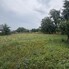 Teren de vânzare Catamaresti-Deal - 204084TV - Poza 1 din 3 | BLITZ Botoșani | Poza2