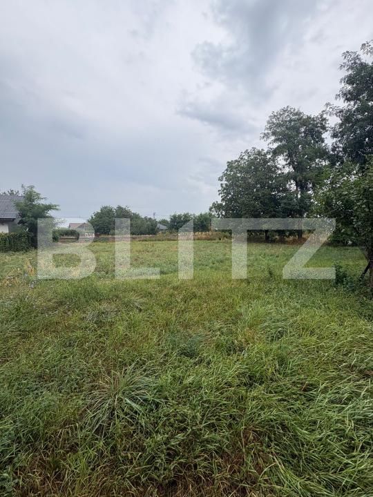 Teren de vânzare Catamaresti-Deal - 204084TV | BLITZ Botoșani | Poza3