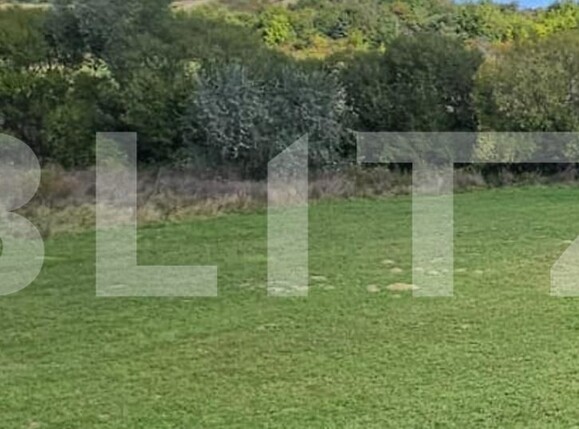 Teren de vânzare Catamaresti-Deal - 204309TV | BLITZ Botoșani | Poza1