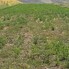 Teren de vânzare Zaicesti - 204370TV - Poza 1 din 1 | BLITZ Botoșani | Poza1