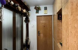 Apartament de 2 camere, parter,  zona Primaverii