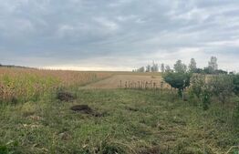 Casă de vânzare, teren 5400 mp, zona Brăești