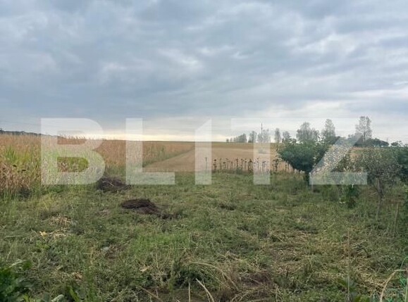Casa de vânzare 2 camere Braesti - 204504CV | BLITZ Botoșani | Poza5