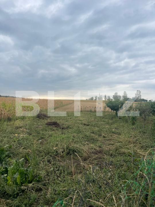 Casa de vânzare 2 camere Braesti - 204504CV | BLITZ Botoșani | Poza5