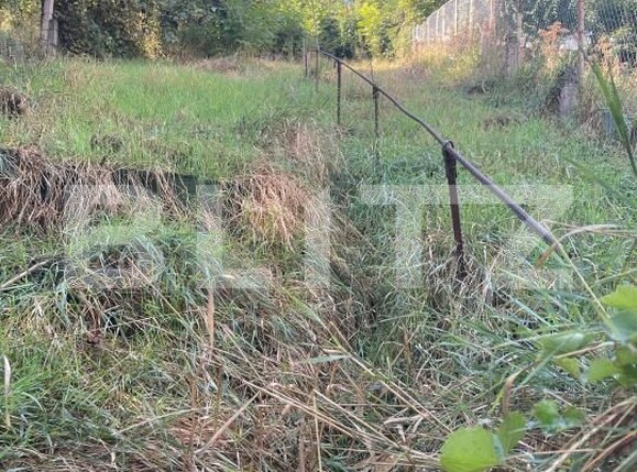 Casa de vânzare 3 camere Dorohoi - 204761CV | BLITZ Botoșani | Poza9