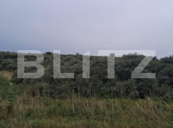 Teren de vânzare Soroceni - 204793TV | BLITZ Botoșani | Poza1
