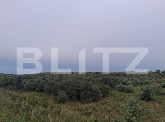 Teren de vânzare Soroceni - 204793TV | BLITZ Botoșani | Poza2