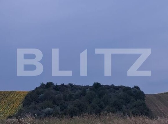 Teren de vânzare Soroceni - 204793TV | BLITZ Botoșani | Poza3